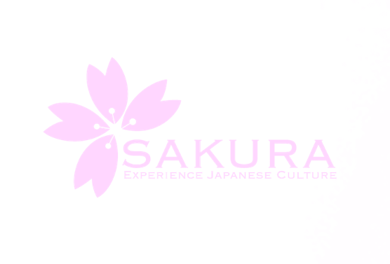 Japanese Music Culture|Sakura Koto Experience
